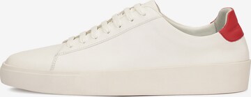 Kazar Studio Sneakers in White: front
