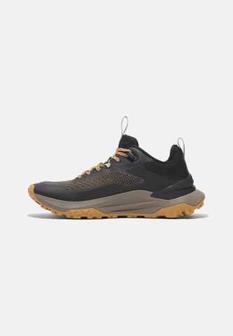 Sneaker bassa di TIMBERLAND in marrone