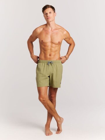 PROTEST Swimming shorts 'Davey' in Green