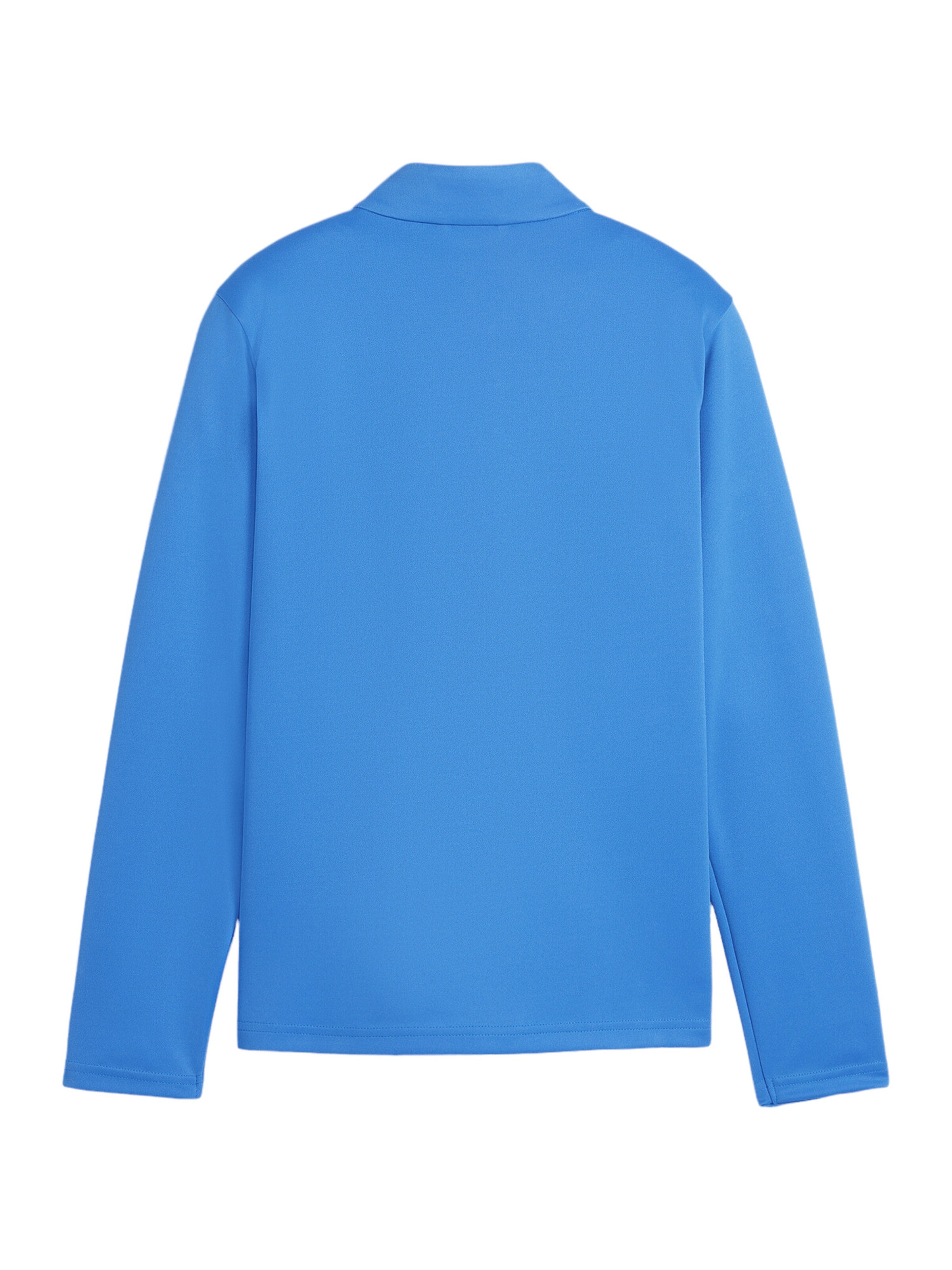 PUMA Trainingsjacke 'TeamGoal' in Blau