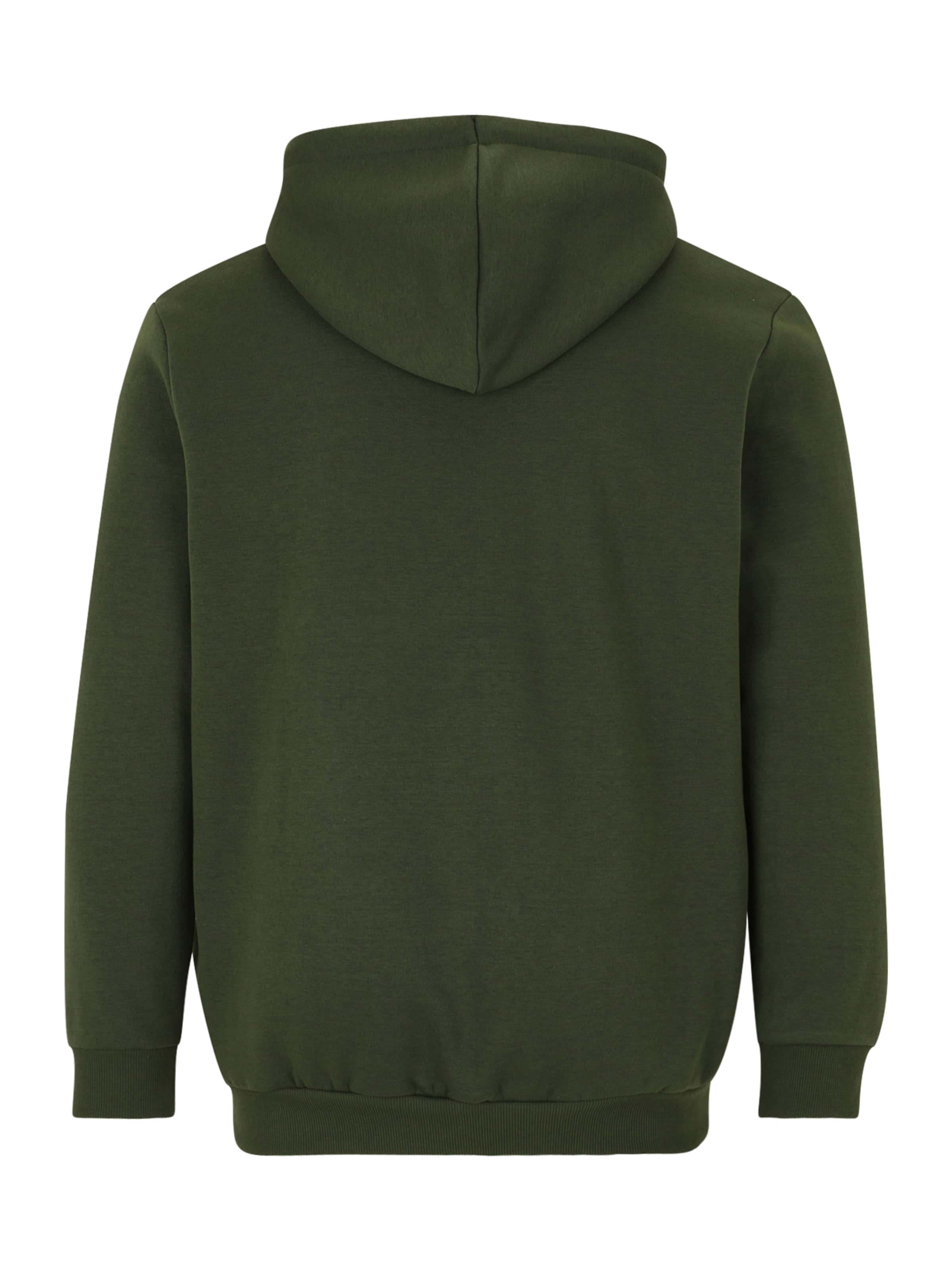 Jack & Jones Plus Свитшот 'JJEBRADLEY' в Зеленый