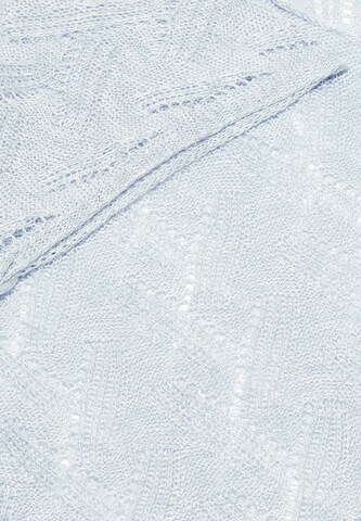 ESHA Sweater in Blue