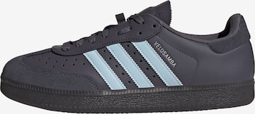 ADIDAS PERFORMANCE Sports shoe 'Velosamba' in Grey: front