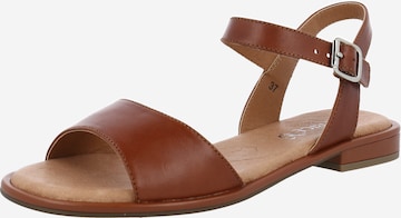 CAPRICE Sandals in Brown: front