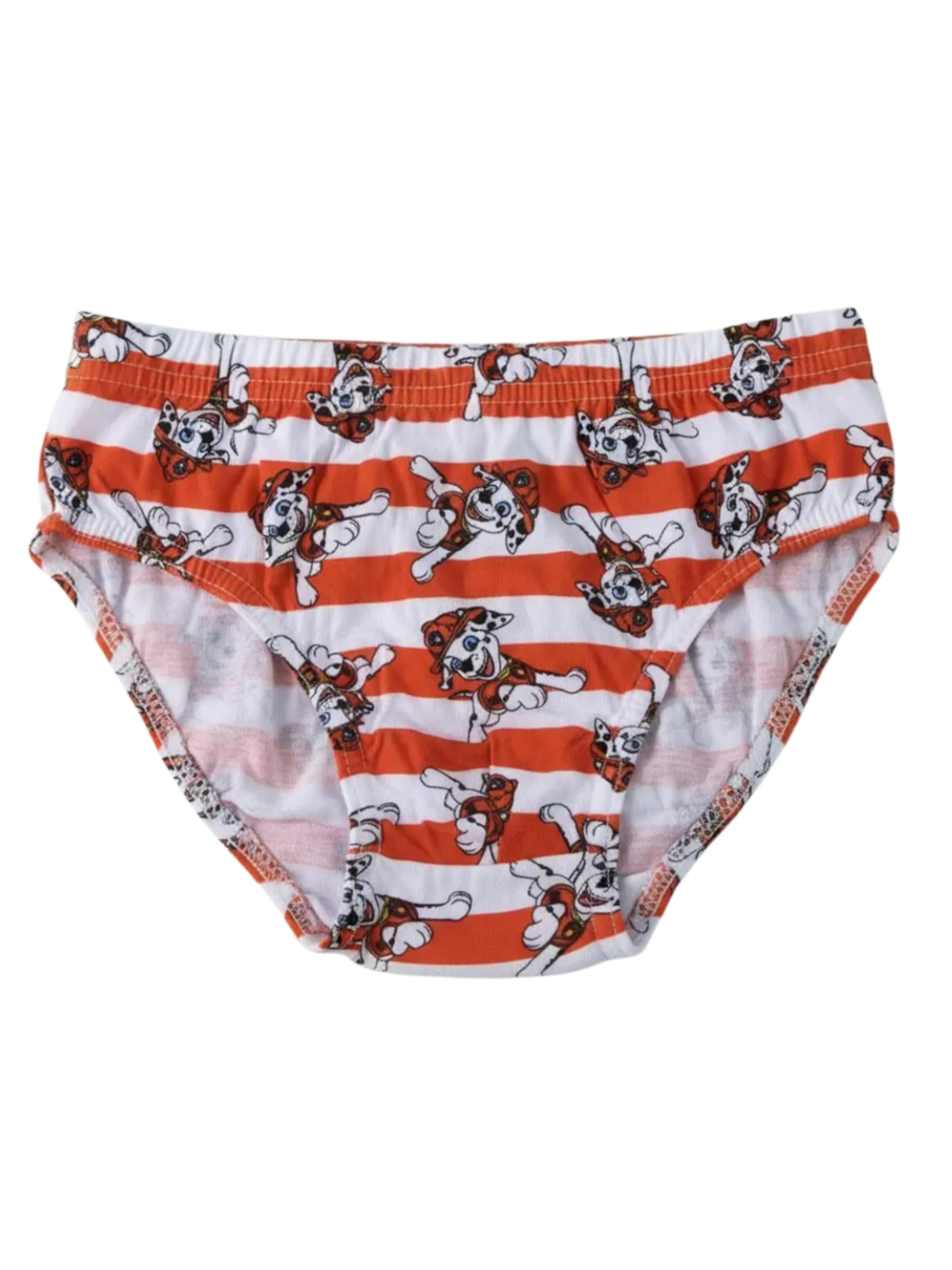 Cerdá Underpants in Mixed colours