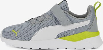 PUMA Sneakers 'Anzarun Lite' in Grijs: voorkant