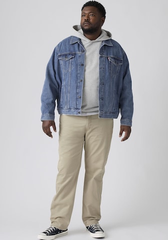 Levi's® Big & Tall Regular Jeans '541™' in Beige