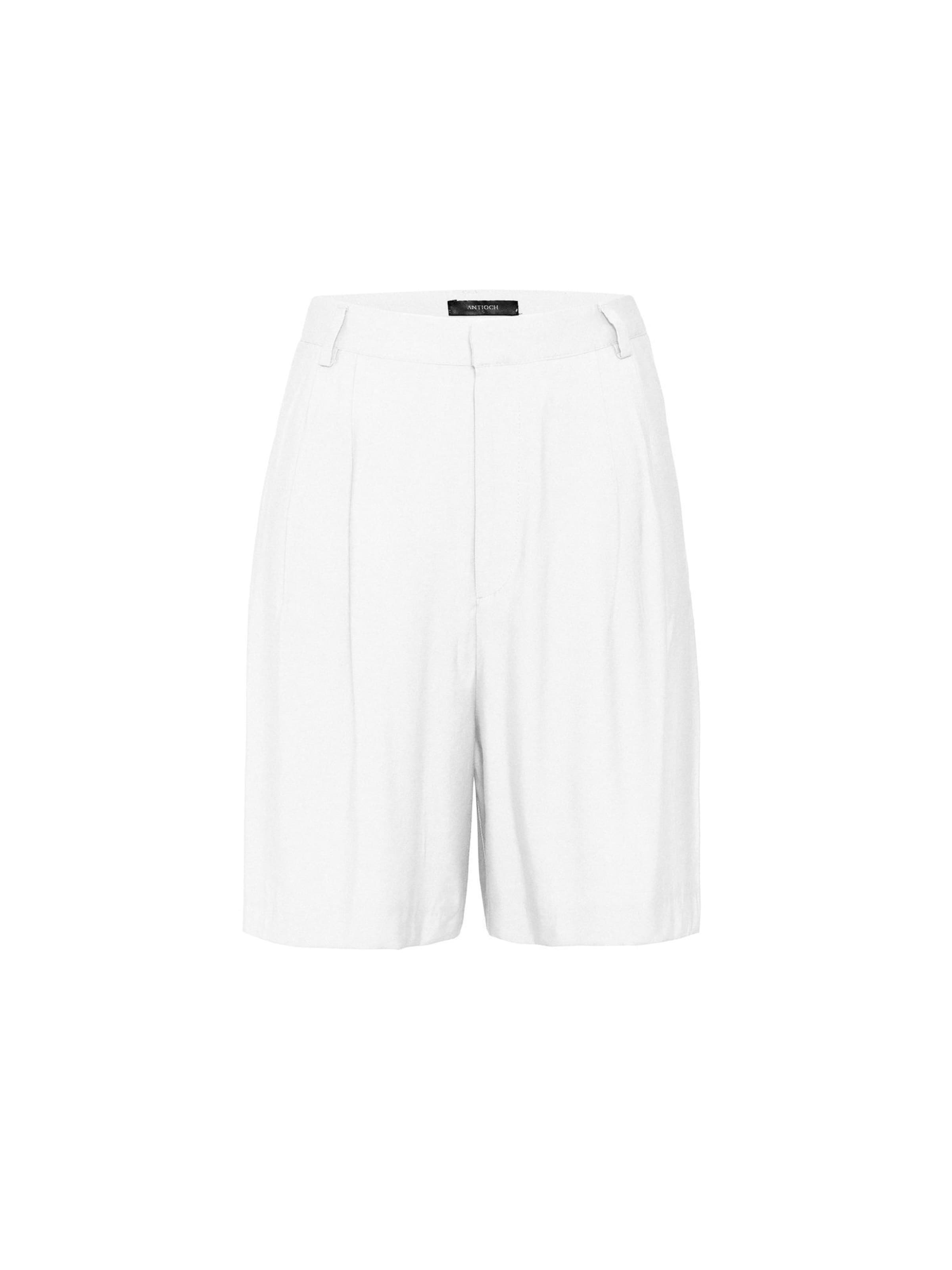 Antioch regular Bukser med lægfolder i beige: forside