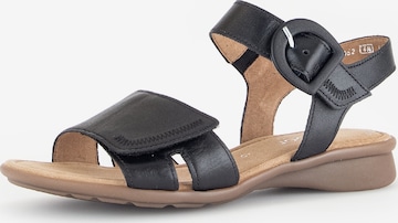 GABOR Sandals in Black: front