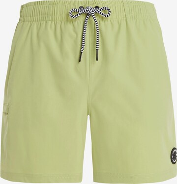 PROTEST Board Shorts 'Prtyessine' in Green: front