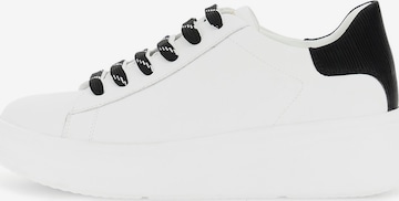 Sneaker bassa di CAFè NOIR in bianco: frontale