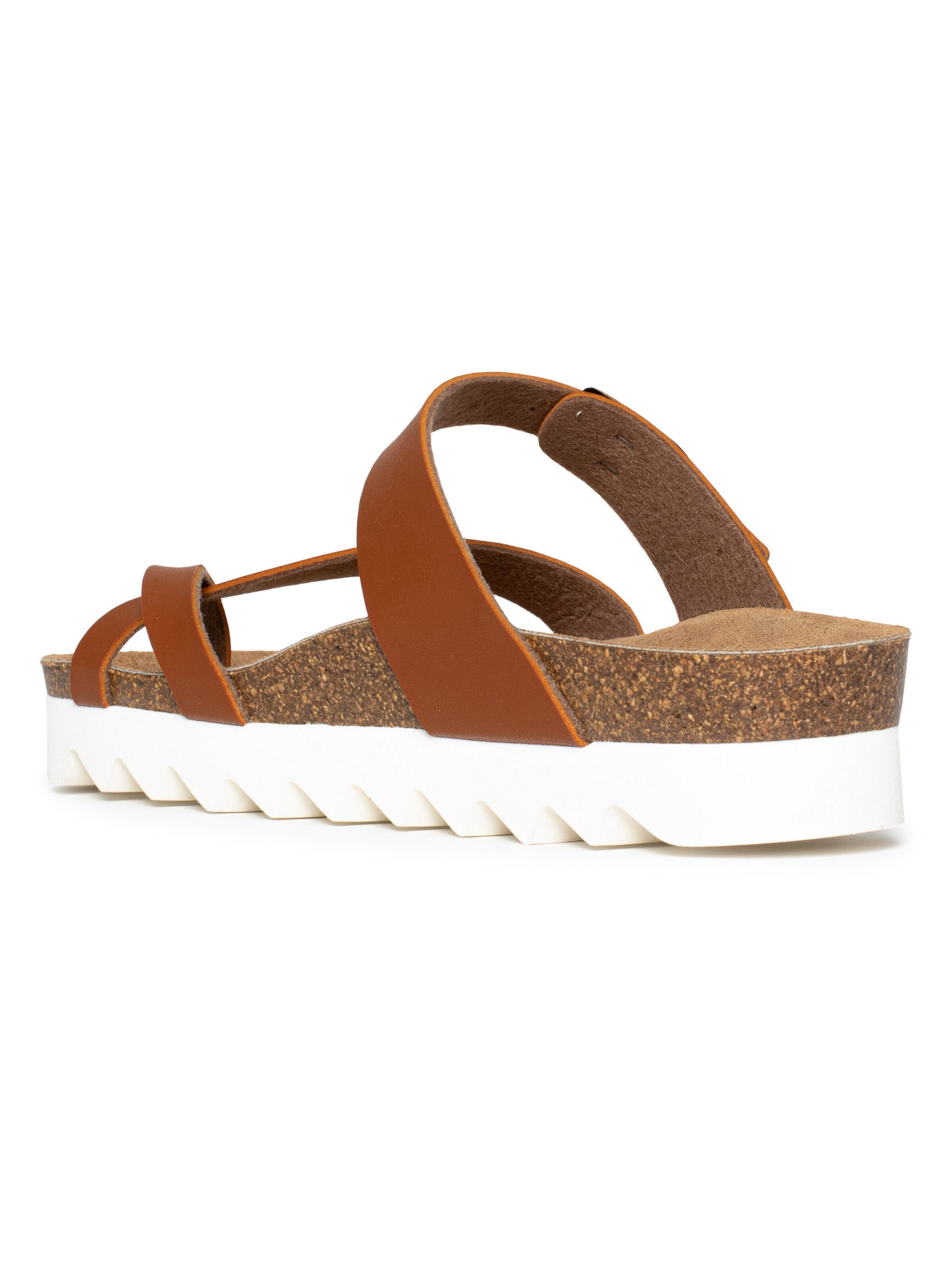 Bayton Muiltjes 'Andromac' in Bruin