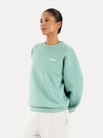 Smilodox Sweatshirt in Groen