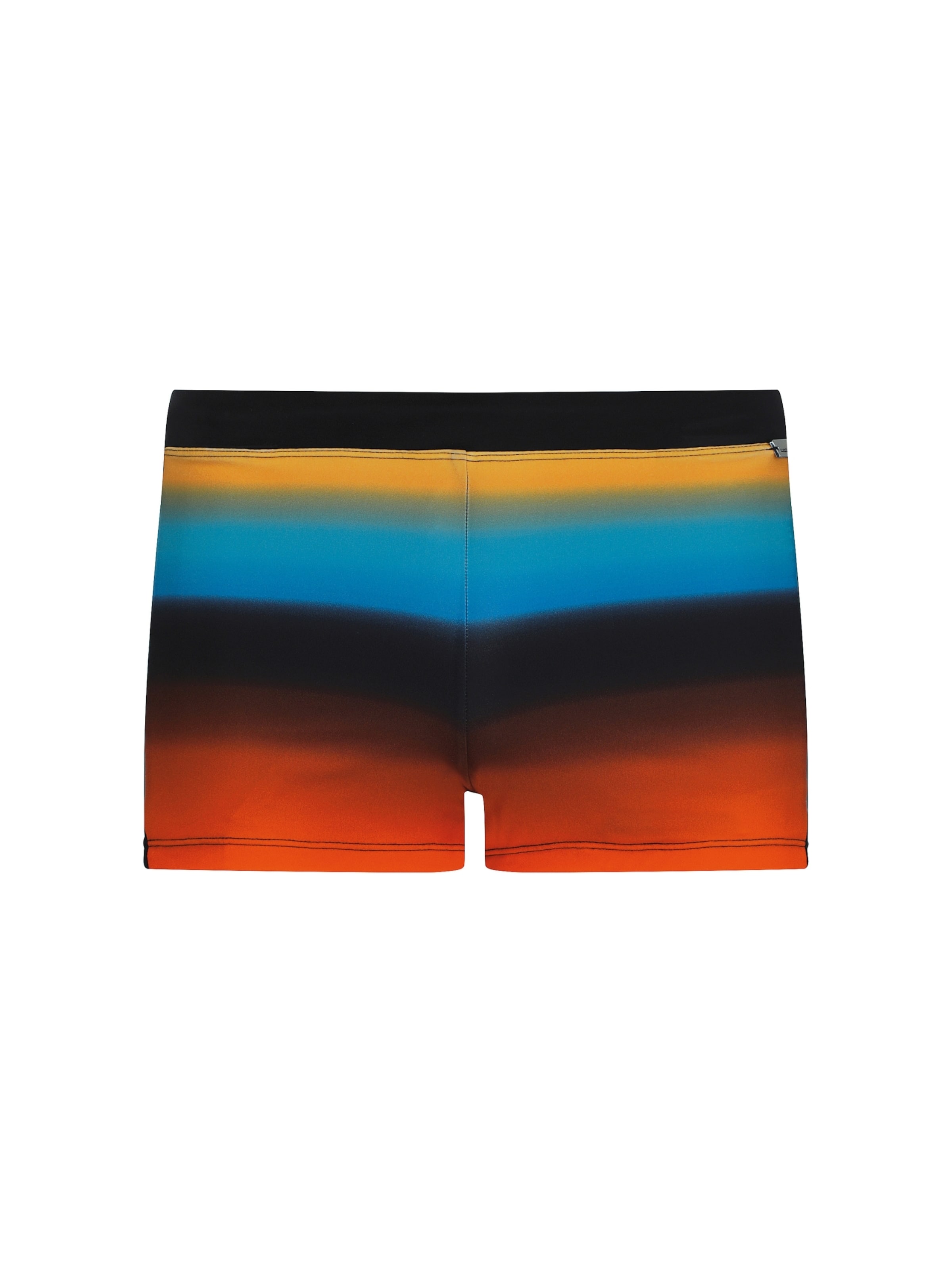 wavebreaker Swim Trunks in Mixed colors: front