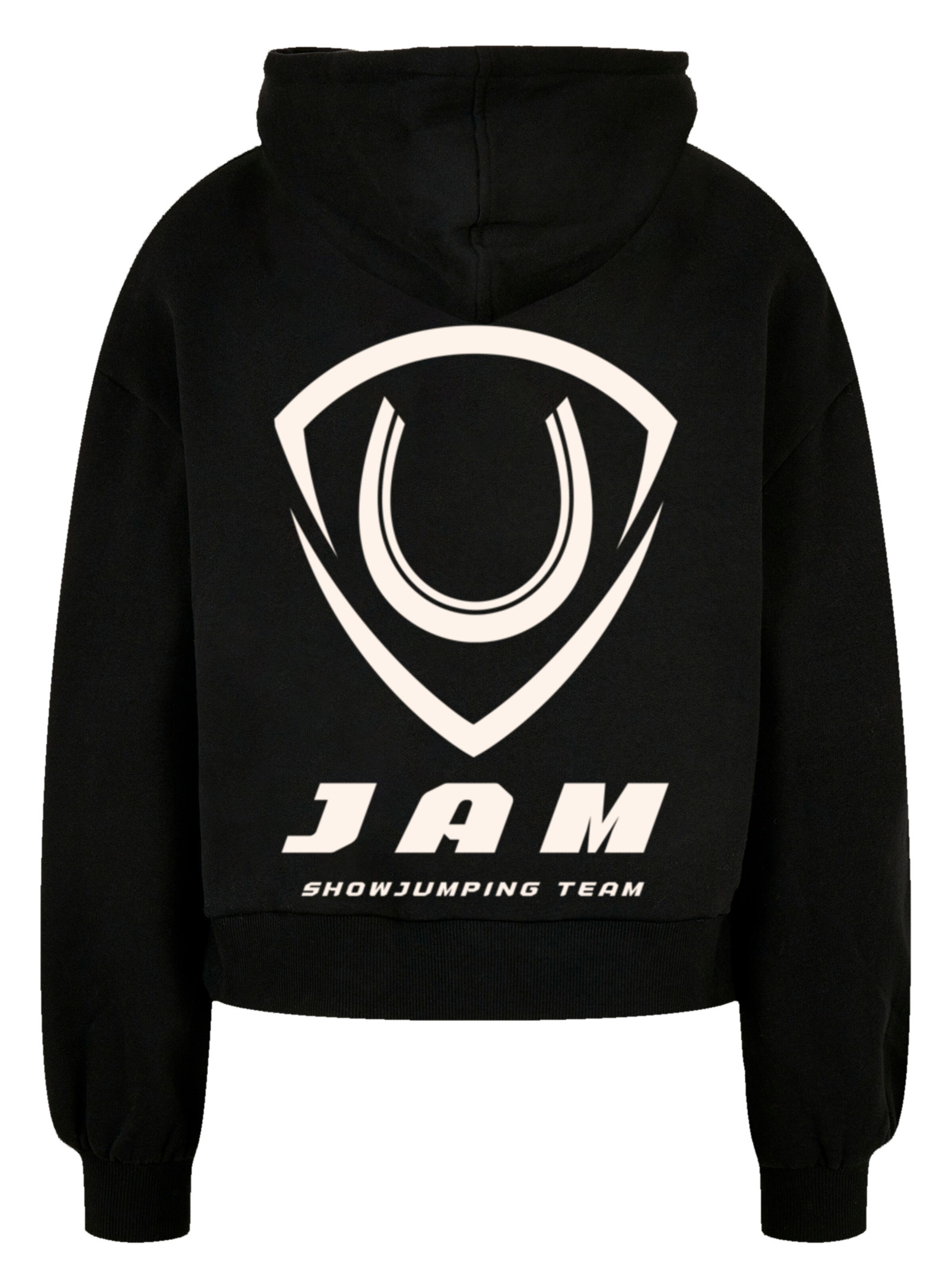 F4NT4STIC Sweatshirt in Black