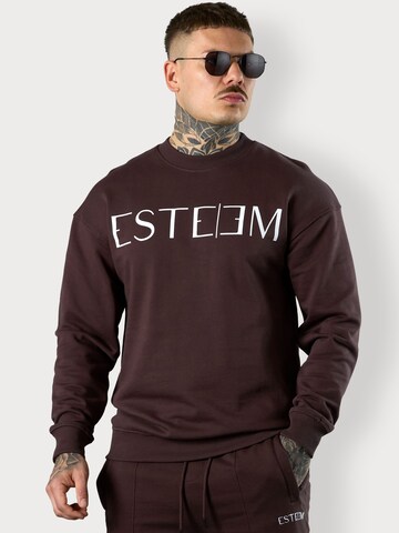 ESTEEM Collegepaita värissä ruskea: etupuoli
