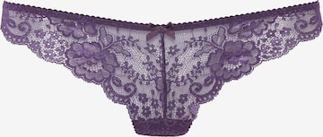 LASCANA Regular Thong in Purple: front