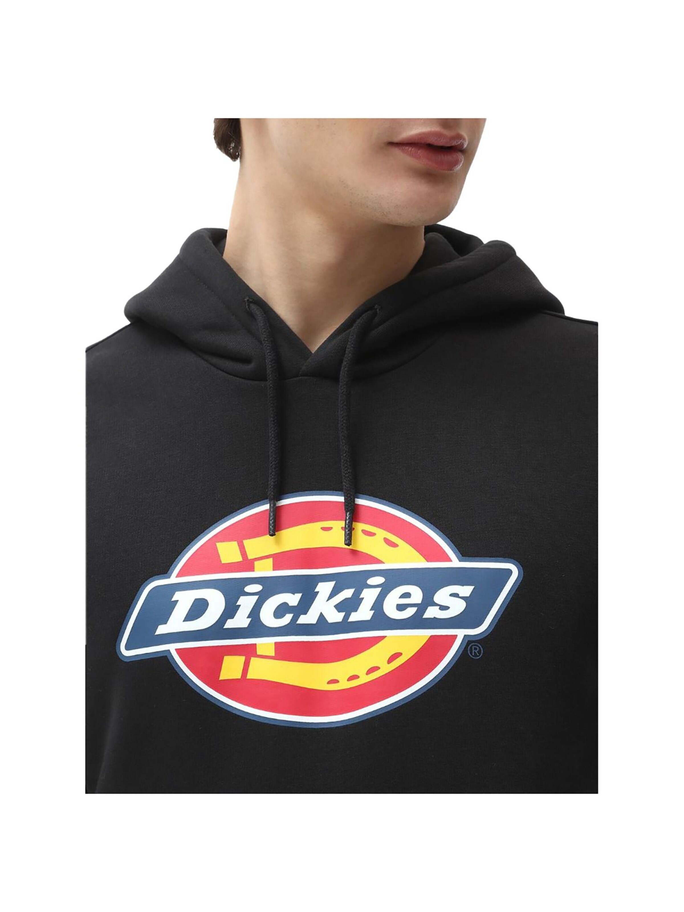 DICKIES Sweatshirt 'Classic'‌‌‌ in Schwarz