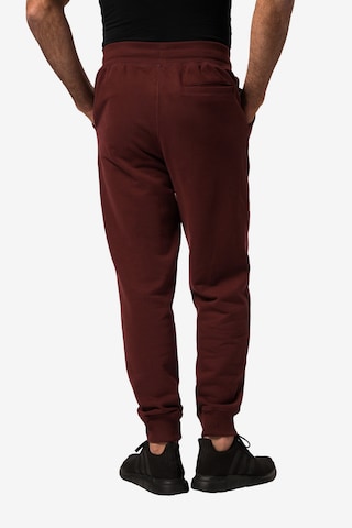 JAY-PI Tapered Pants in Brown