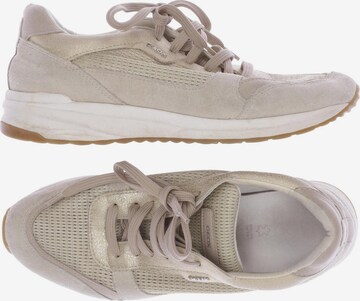 GEOX Sneakers & Trainers in 39 in Beige: front