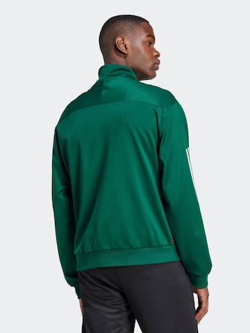 ADIDAS SPORTSWEAR - Chaqueta de chándal 'House of Tiro Nations' en verde