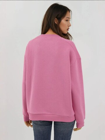 Hiccup Sweatshirt in Pink