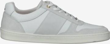 Baskets basses 'Palermo' PANTOFOLA D'ORO en gris