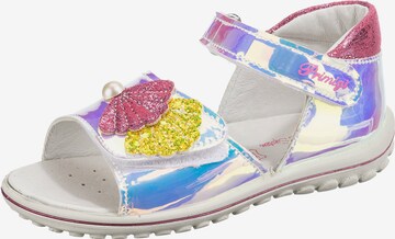 PRIMIGI Sandals in Mixed colors: front