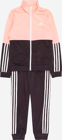 ADIDAS PERFORMANCE Tracksuit in Purple: front
