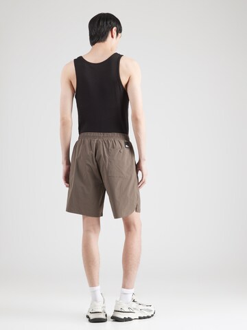 JACK WOLFSKIN - Loosefit Pantalón de montaña 'WAGAMI' en marrón