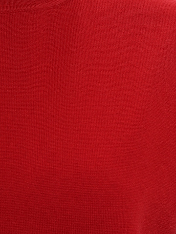 Banana Republic Tall Úpletové šaty 'MOCK' – červená