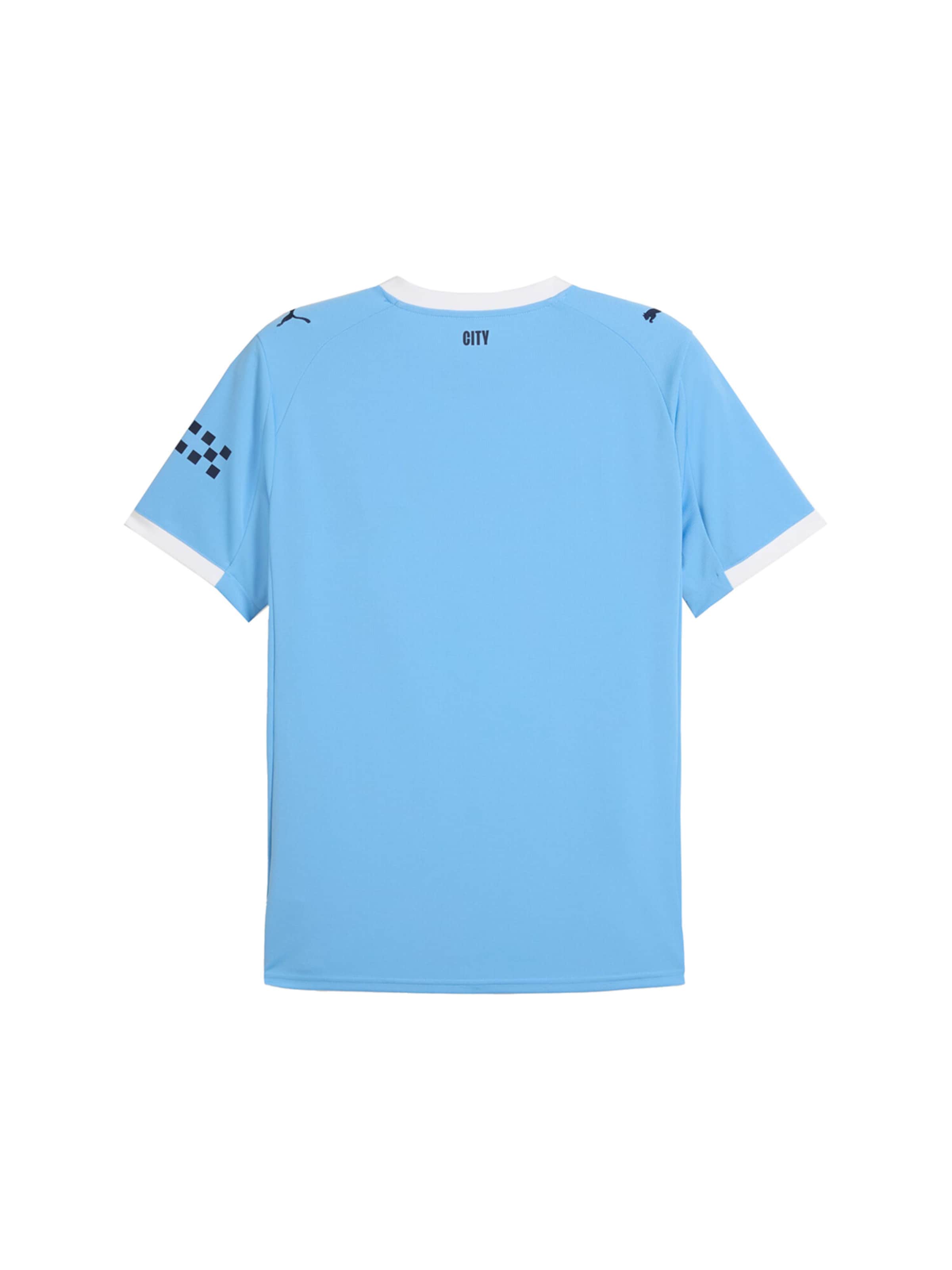 PUMA Tricot 'Manchester City 2025/26' in Blauw