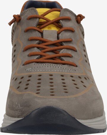 SANSIBAR Sneakers in Grey