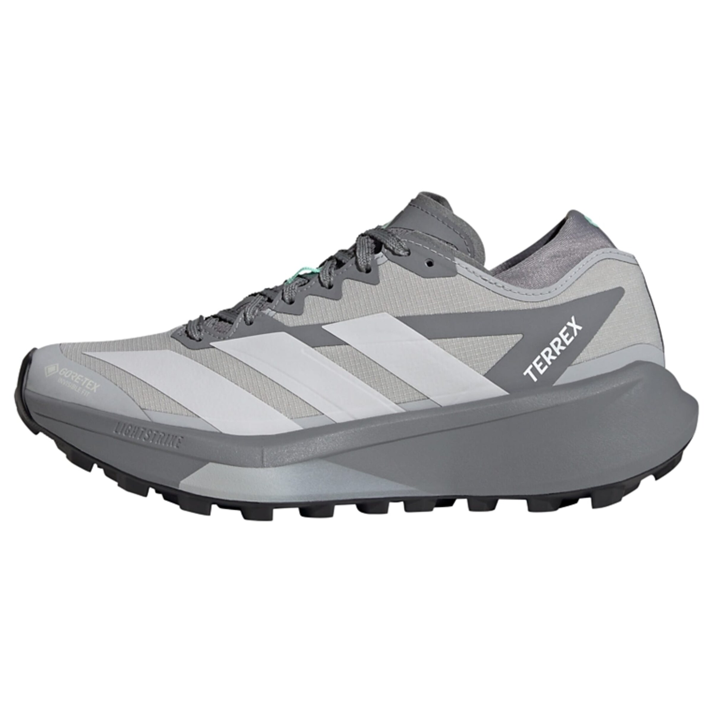 ADIDAS TERREX Běžecká obuv 'Agravic GTX 2' – šedá: přední strana