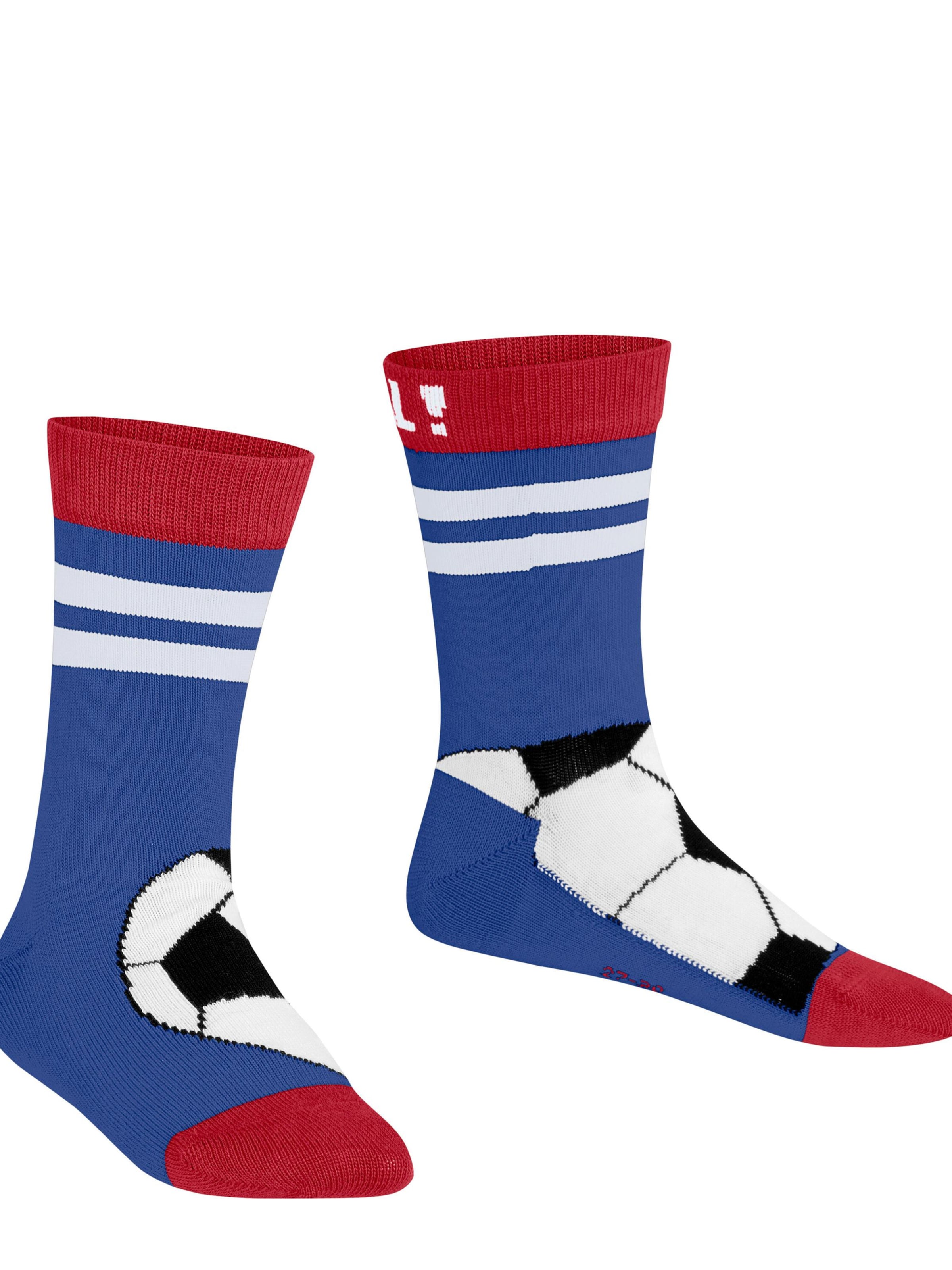 FALKE Socks 'Active Soccer' in Blue