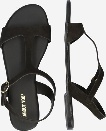 ABOUT YOU Strap sandal 'Yaren' in Black