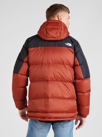 THE NORTH FACE Rovný strih Outdoorová bunda 'Diablo' - Hnedá