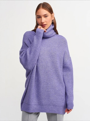 Dilvin - Pullover 'Pullover' em roxo