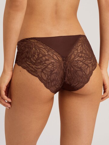 Hanro Panty ' Elia ' in Brown