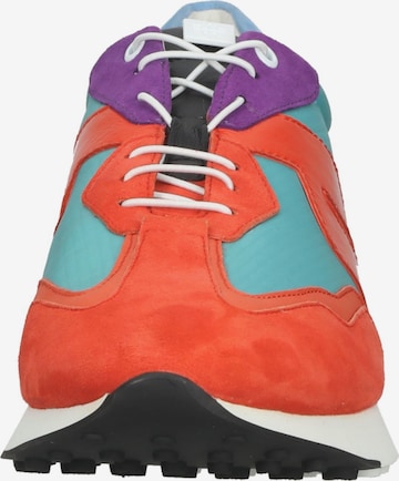 Högl Sneakers in Mixed colors