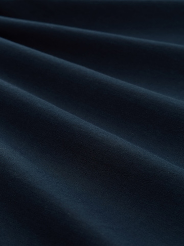 TOM TAILOR Shirt in Blauw