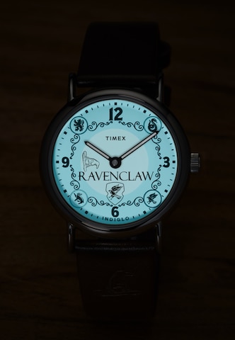 Montre à affichage analogique TIMEX en marron