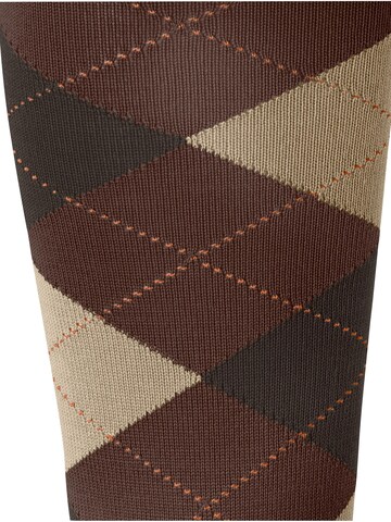 BURLINGTON Over the Knee Socks 'Marylebone' in Brown