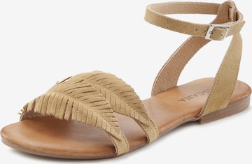 Sandalo con cinturino di LASCANA in beige: frontale