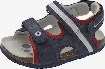 CHICCO Sandals & Slippers 'Floyd' in Blue: front