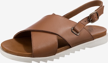 Paul Vesterbro Sandals in Brown: front