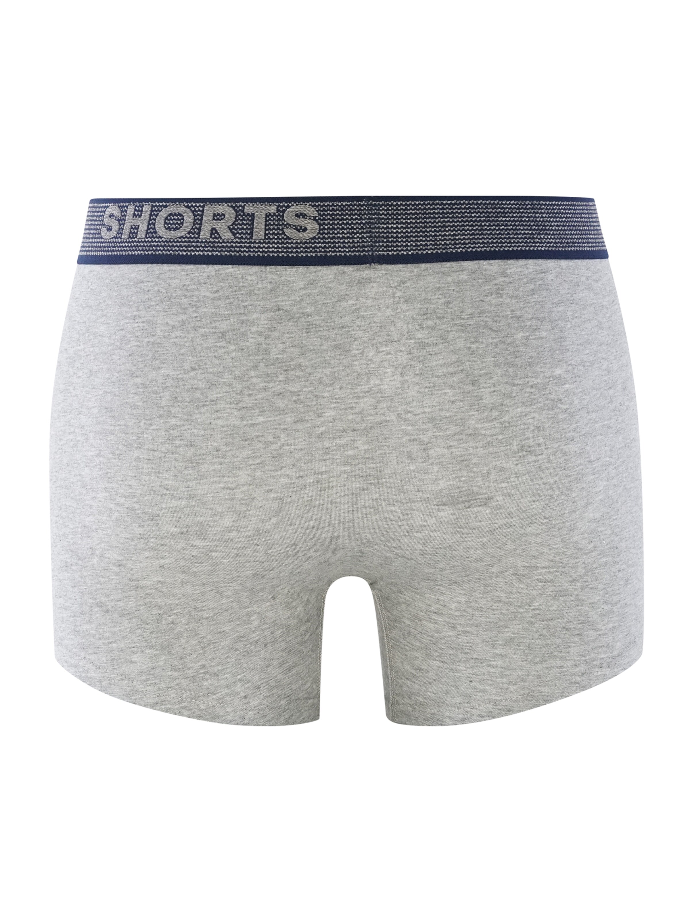 Phil & Co. Berlin Boxershorts ' All Styles ' in Blauw
