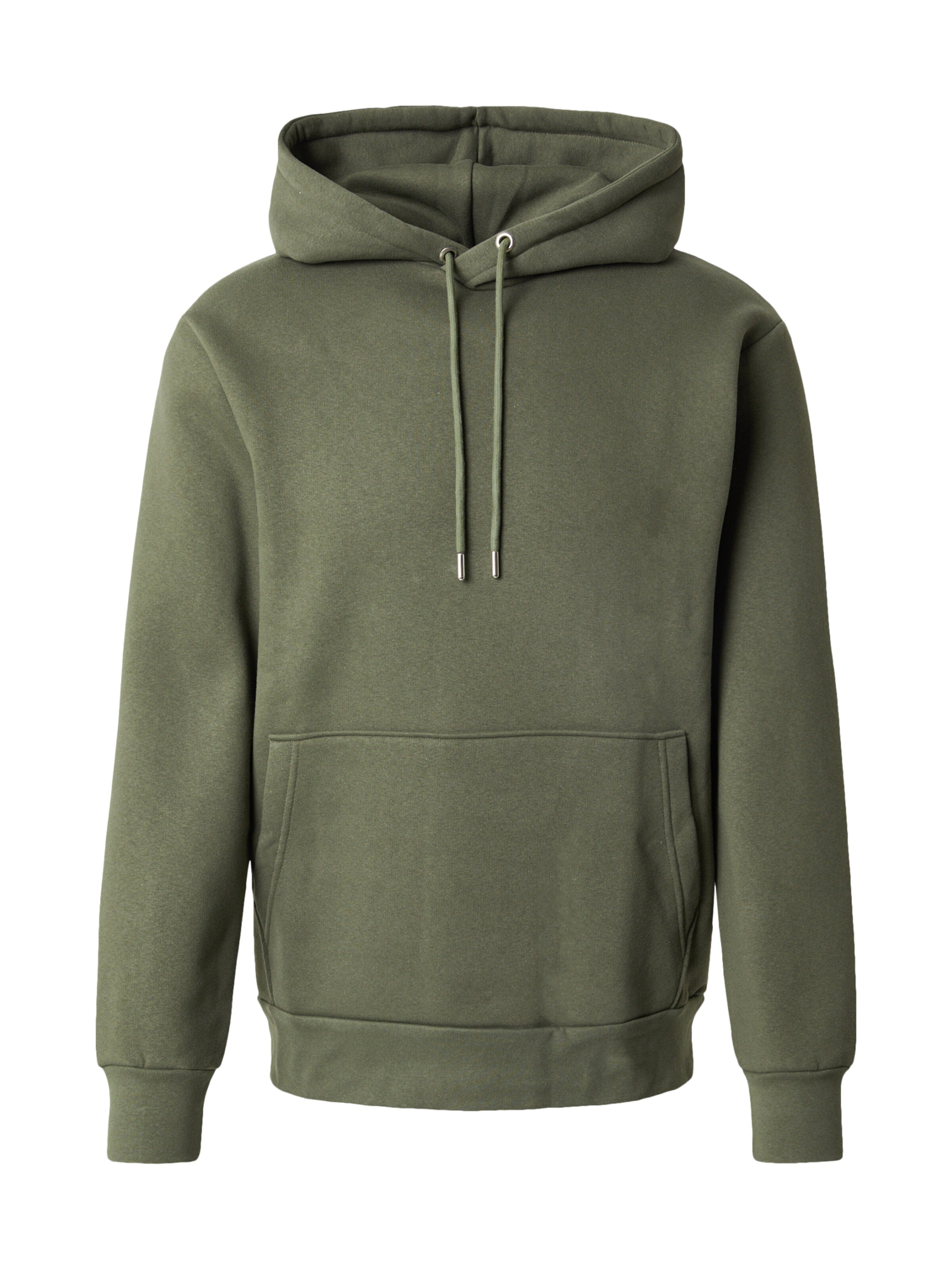 Felpa 'SLHDAN' di SELECTED in verde: frontale