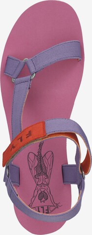 FLY LONDON Strap Sandals in Purple