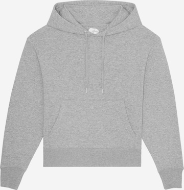 glore Sweatshirt ' Leoo ' in Grey: front